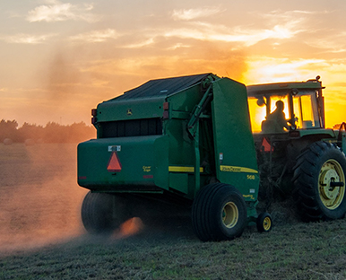 Monitoramento agrícola e pecuária